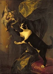 Katze und totes Wild